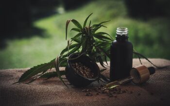 Le CBD zéro THC tout ce que vous devez savoir