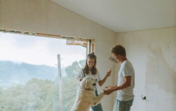 Un couple profite d'un moment ludique avec son chien tout en rénovant sa maison avec de grandes vues dégagées.