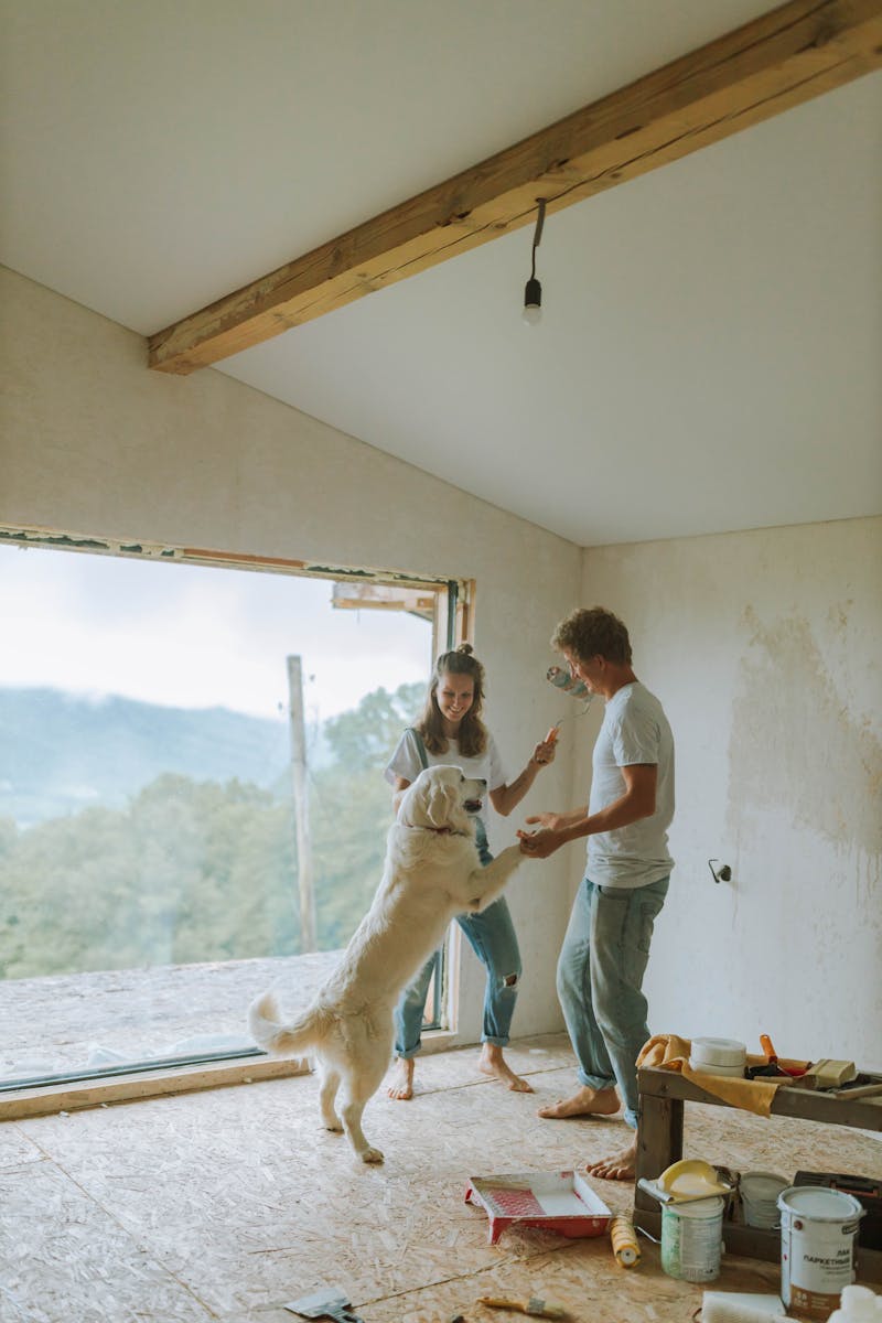 Aménagements possibles dans une maison : repenser l’espace pour mieux vivre