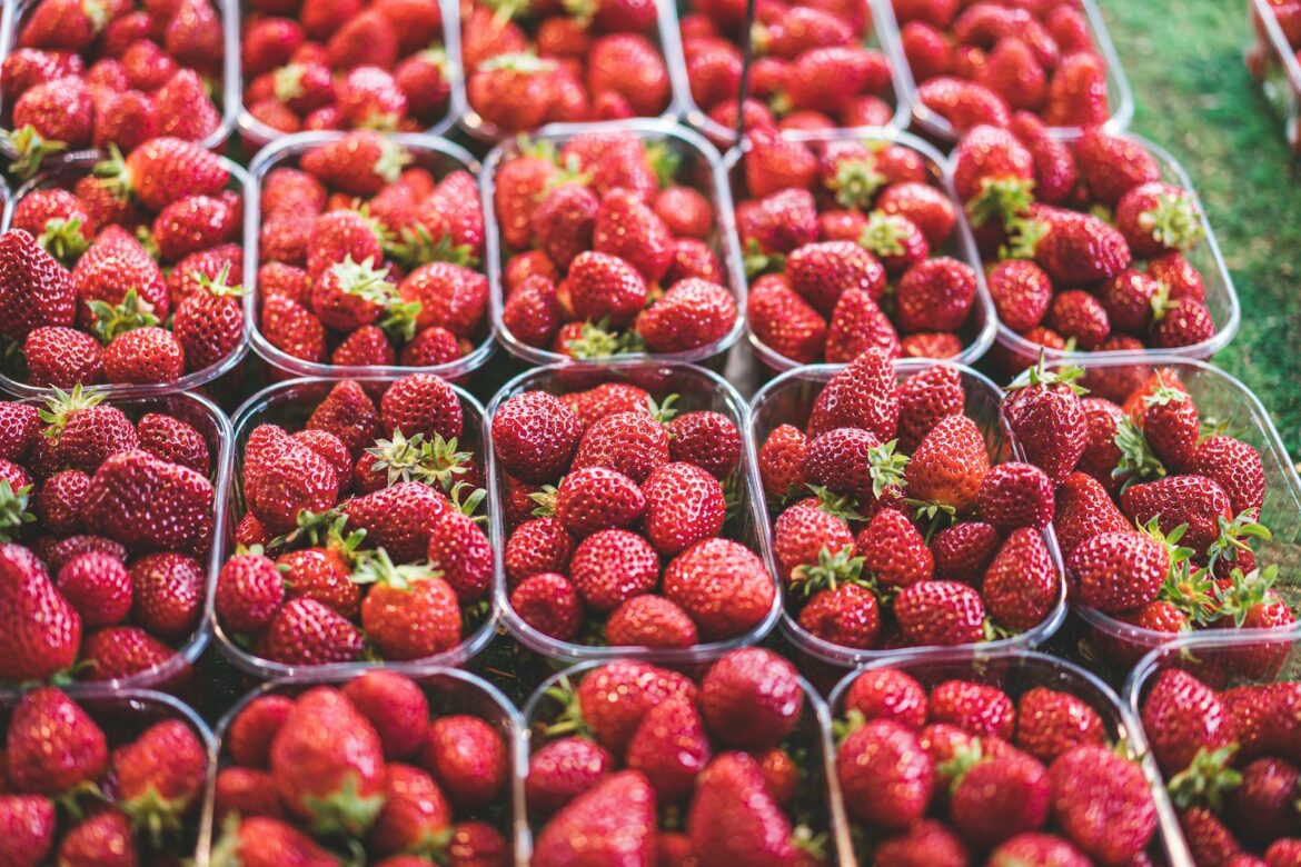 Terroir et gastronomie : un voyage sensoriel au cœur des saveurs authentiques